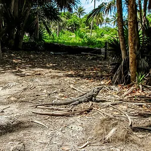 Сasa de vacaciones @ Mestiza, 307b, Tulum