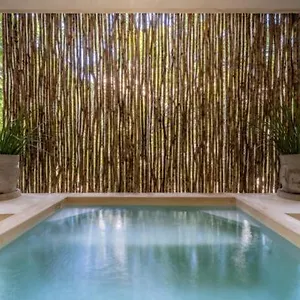 Casa Cenote Private Pool Gated Holiday home